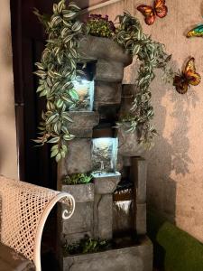 Fotografie z fotogalerie ubytování Casa Irlandeza - Irish House v destinaci Băile Felix