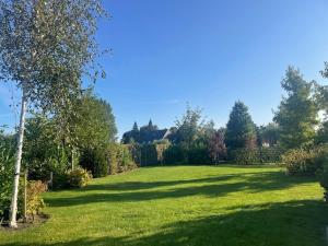 a large grassy field with trees and bushes at Studio 137 in Zwaag +6 photos