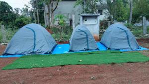 耶拉吉里Dr KGS Nature Stays and Camping Tents的相册照片