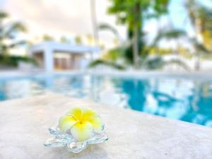 Billede fra billedgalleriet på Shungi Villa Zanzibar Trips Included from 3 nights i Tongoni + 48 billeder