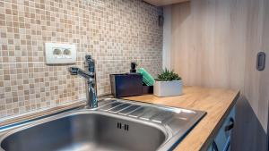 Η κουζίνα ή μικρή κουζίνα στο Bled Vista Apartments +45 φωτογραφίες