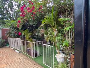 Gallery image of Green Enchantment Home in Nalakonge +48 photos