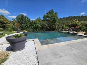 a swimming pool with a plant in a pot at Cocon d'Amour & Spa in Le Thoronet