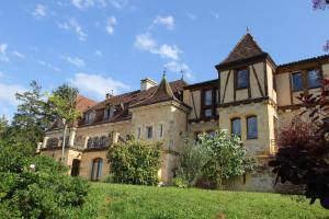 una vecchia villa su una collina erbosa di Domaine du Fraysse Chantegrel le charme à l'etat pur a Saint-Cybranet