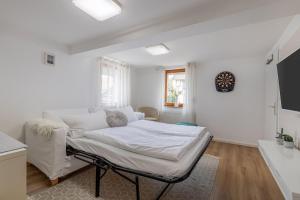 TV a/nebo společenská místnost v ubytování Dream Green Apartment 'Meadow'