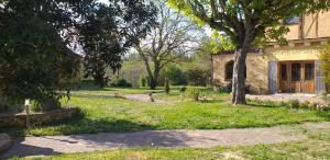 un cortile con un edificio, un albero e un prato di Domaine du Fraysse Chantegrel le charme à l'etat pur a Saint-Cybranet