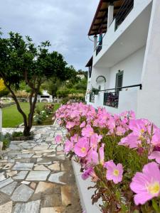 Gallery image of Irene Studios in Arillas