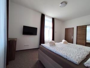 Ένα ή περισσότερα κρεβάτια σε δωμάτιο στο Apartmán u lázní