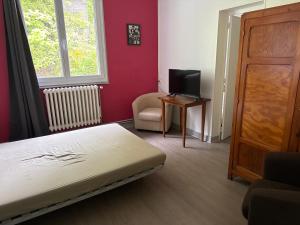 a bedroom with a bed and a tv and a chair at Le tourbillon in La Bourboule