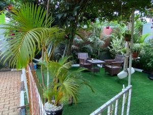 a garden with palm trees and chairs and a fence at Green Enchantment Home in Nalakonge