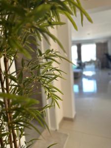 a green plant in a room with a hallway at Couple's Getaway in Is-Swieqi
