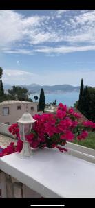 un vaso bianco appoggiato su una sporgenza con fiori rosa di Apartment Tijana a Bar