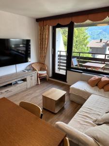 TV a/nebo společenská místnost v ubytování Apartments Kaninska Vas