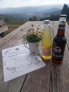 Nápoje v ubytování Glatzl Trahütten Alm