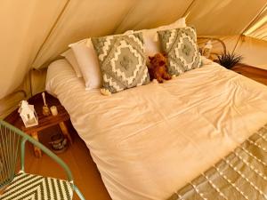 a teddy bear sitting on a bed in a tent at Quex Glamping in Birchington