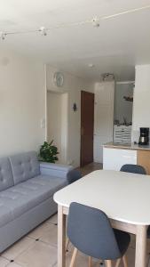 a living room with a couch and a table at Le Gryselis in Gréoux-les-Bains +6 photos