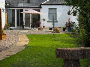 a yard with a house with an umbrella and grass at Cosy Wee Cottage in Monkton