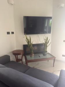 a living room with a couch and a tv at Villa Gioia in Is Molas 