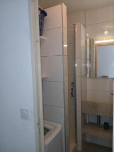巴斯洛内特Appartement chaleureux.的带淋浴、水槽和镜子的浴室