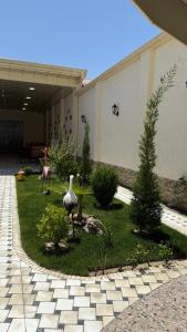 Zahrada ubytování Billuri Sitora Resort + 6 fotografií