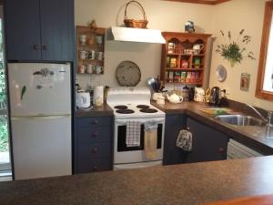 uma cozinha com um fogão branco e um frigorífico em Bumblebee Cottage em Greytown