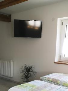 TV a/nebo společenská místnost v ubytování Apartment in Lindenberg, Goßholz
