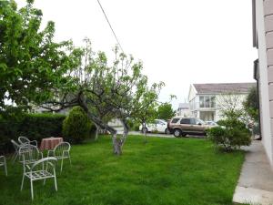 a yard with chairs and a tree in the grass at Boskovic Apartments in Podgorica