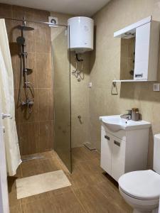 a bathroom with a shower and a toilet and a sink at Prenoćište Silver Lux Srebrno Jezero 11 in Veliko Gradište