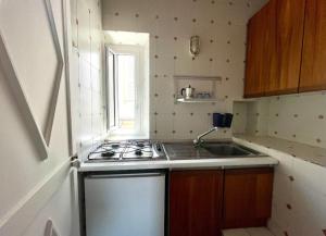 una piccola cucina con fornelli e lavello di La Casa degli Affreschi a Sperlonga