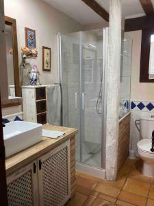 a bathroom with a shower and a sink and a toilet at La Huerta in Alcañiz