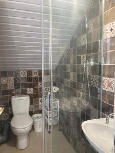 a bathroom with a toilet and a sink and a shower at Kotor Bay Villa in Tivat