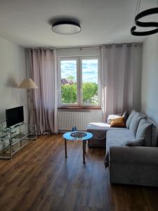 un salon avec un canapé et une table dans l'établissement Teatralna Nowoczesny Apartament Centrum Bolesławca, à Bolesławiec