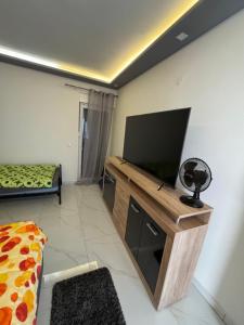 a living room with a flat screen tv on a wooden stand at Ferienhaus Rovine in Ivišovo Greblje