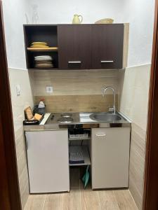 a small kitchen with a sink and cabinets at Apartmani Kasteljan 4, Stara Novalja in Stara Novalja