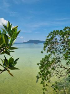 高龙撒冷岛Mangrove Beach Bungalows的从树后可欣赏到海景