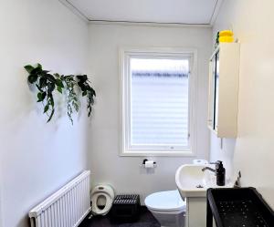 a bathroom with a sink and a toilet and a window at 3BR Home Near Lake Vänern - Covered Deck & BBQ in Otterbäcken +61 photos