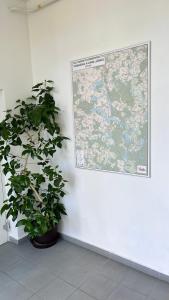 Fotografia z galérie ubytovania Apartments Radka v destinácii Třeboň