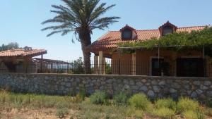 a house with a stone wall and a palm tree at The Lake House in Vingláfia