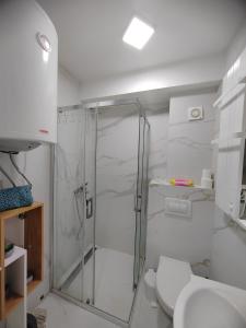 a bathroom with a shower and a toilet at OgiApartman in Vrnjačka Banja