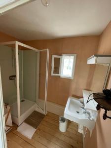 ein Badezimmer mit einem weißen Waschbecken und einer Dusche in der Unterkunft Chambres à louer centre-ville in Le Mans