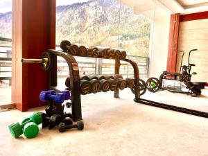 Fitnes oz. oprema za telovadbo v nastanitvi Vista Resort - Centrally Heated & Air Cooled Near Mall road Manali