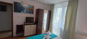 a bedroom with a bed and a television and a window at Charter Apartments Costea in Sibiu
