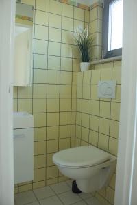 a yellow tiled bathroom with a toilet and a plant at Ferienhaus Mittendrin zwischen Altstadt und Natur in Celle in Celle +31 photos