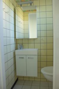 a bathroom with a sink and a mirror and a toilet at Ferienhaus Mittendrin zwischen Altstadt und Natur in Celle in Celle