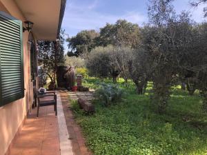 a patio with a chair and a garden at Camera Friuli in Nettuno