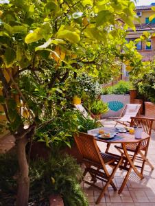 Vonkajšia záhrada v ubytovaní B&B Marina House Porto Ercole