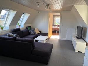 a living room with a couch and a tv at Villa Borgholm - Öland in Borgholm