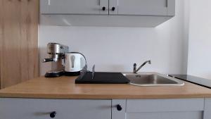 a kitchen counter with a sink and a mixer at Apartament Sand Welle in Grzybowo