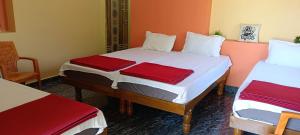 Gallery image of Hampi V S HOMESTAY in Hampi