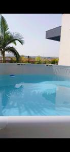 a swimming pool with blue water and a palm tree at נופי ארבל in Livnim